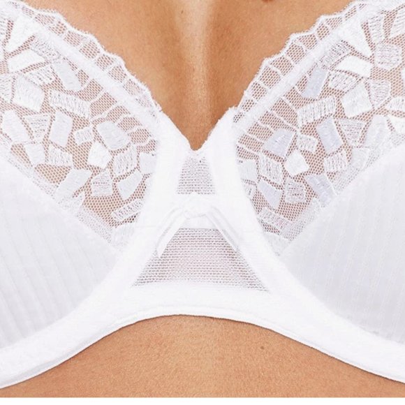 New Chantelle Underwire Ruffled Embroidered Mesh Bra 1381 in Ivory 38DD - Picture 3 of 9